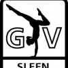 Subsidie voor experiment Gymvereniging Sleen