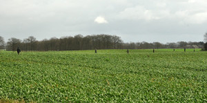 Harm Dijkstra vertelt: jacht in en rond Sleen