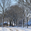 Winterse taferelen in en rondom Sleen