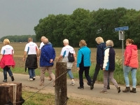 Wandelen in Sleen: doet u mee?