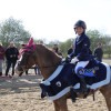 Dressuurcompetitie De Hullen Bokaal