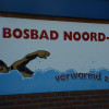 Disco in Bosbad Noord-Sleen: een echt feest!