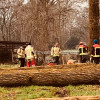 Populieren in Erm geveld door brandweer