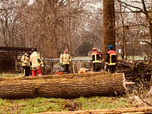 Populieren in Erm geveld door brandweer