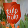 Tulpenverkoop levert Rode Kruis geld op