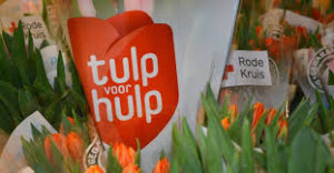 Tulpenverkoop levert Rode Kruis geld op