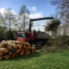 Bomenkap Struikheide en Oldengaerde