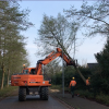 Bomenkap Struikheide en Oldengaerde