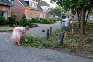 Pilot groenonderhoud: moeilijker dan gedacht