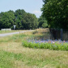 Summertime aan de rand van Sleen