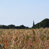 Droogte laat sporen na