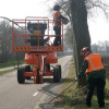 Snoeien van ruim 600 bomen in Sleen