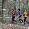 Wildmantrailrun onder prima omstandigheden