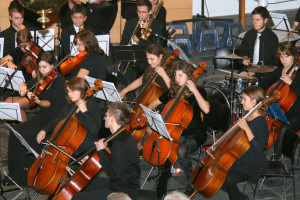 Voorjaarsconcert op 14 april in Sleen