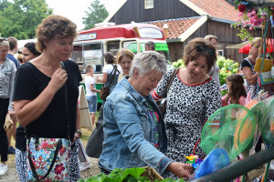 Festival Zoet zoekt nieuwe locatie