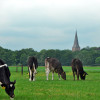 Kinder- en jongerencarrousel in Sleen