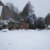 Winter in Sleen (4)