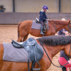 Open dag paardensportcentrum trekt bekijks