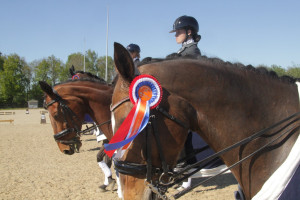 Ponyclub De Hullen Nederlands kampioen