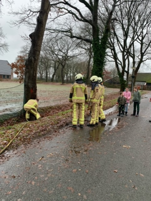 Brandweer rukt twee keer uit voor boombrand