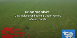 De kringloop van bodem, plant en koe in Sleen