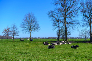 Plattelandscafé in Sleen voor goede ideeën