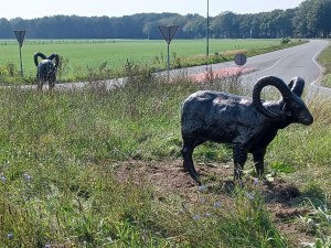 De rotonde bij Sleen met de drie rammen 