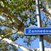 Straat in beeld: Zonnedauw