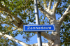 Straat in beeld: Zonnedauw}