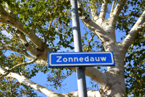 Straat in beeld: Zonnedauw