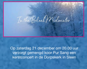 Kerstconcert Pur Sang op 21 december