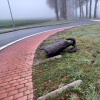 Rotonde rammen opnieuw vernield