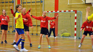 schoolhandbal 2015.jpg