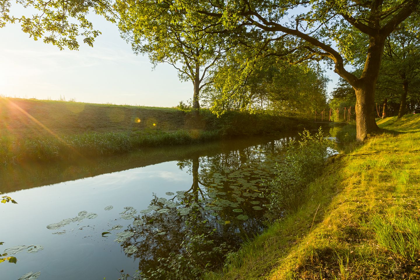 avondzon jongbloed.jpg