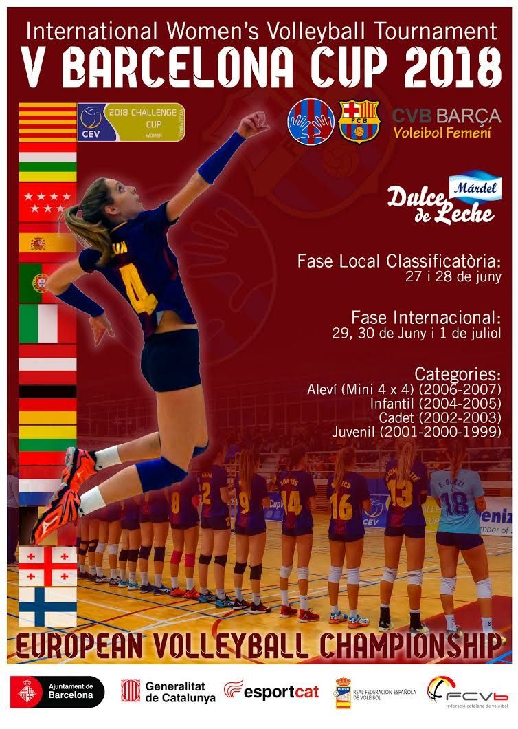 volleybal 2