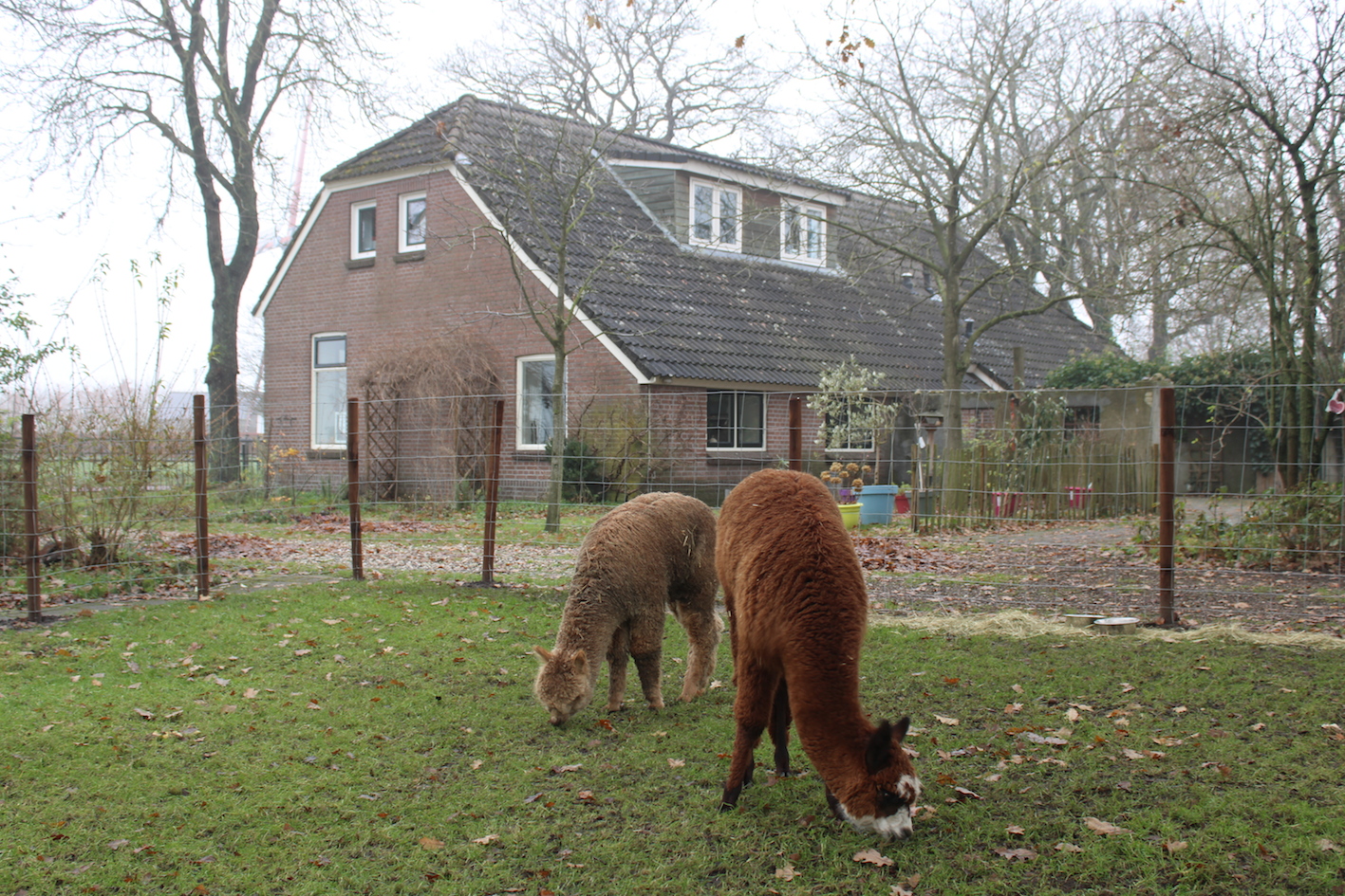 zorgboerderij noord-sleen.JPG