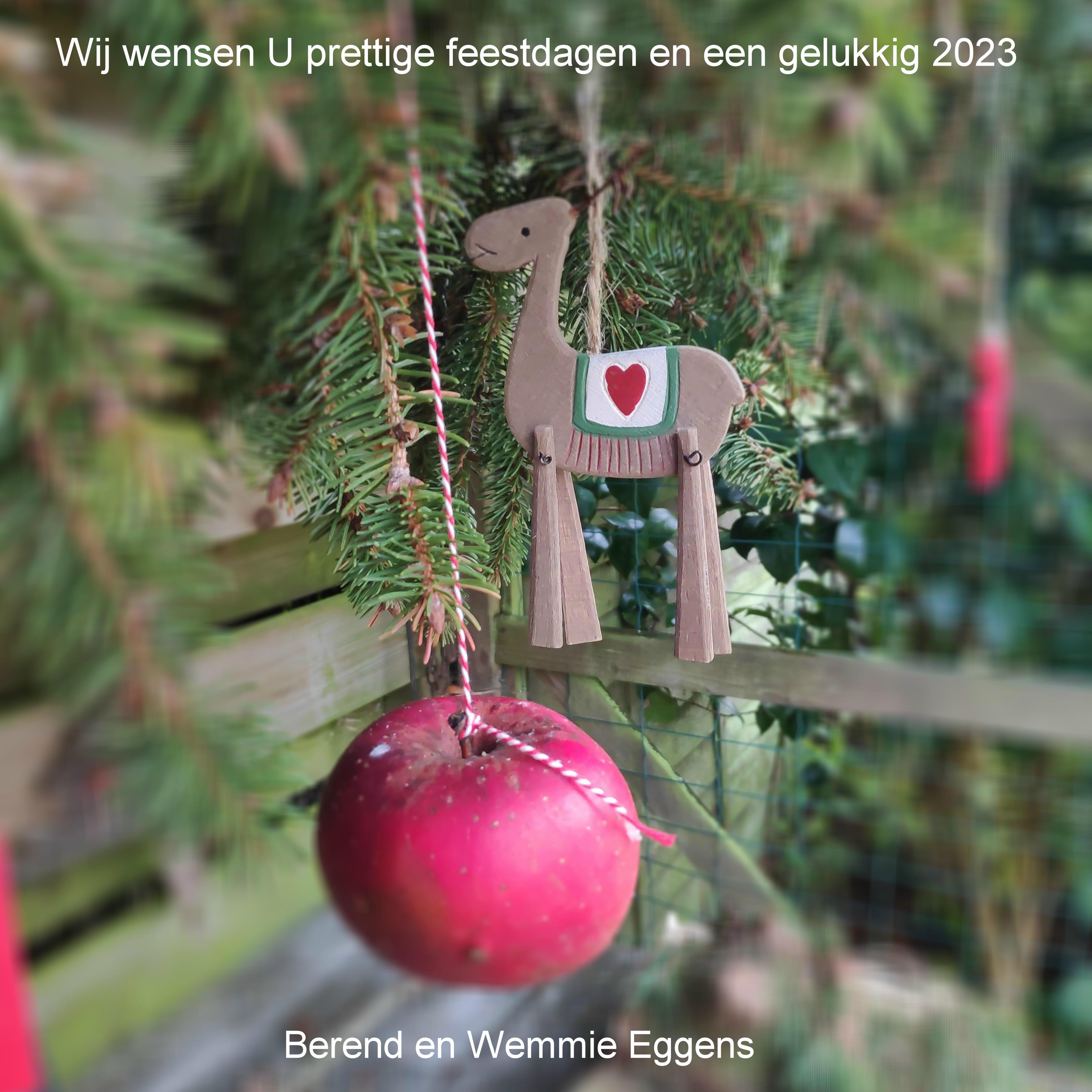 Kerstkaart 2023.jpg