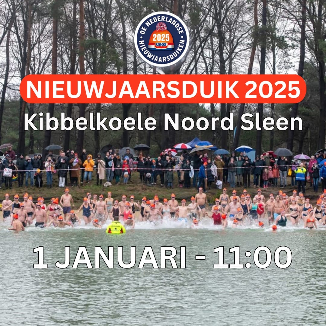 nieuwjaarsduik 2025.jpg